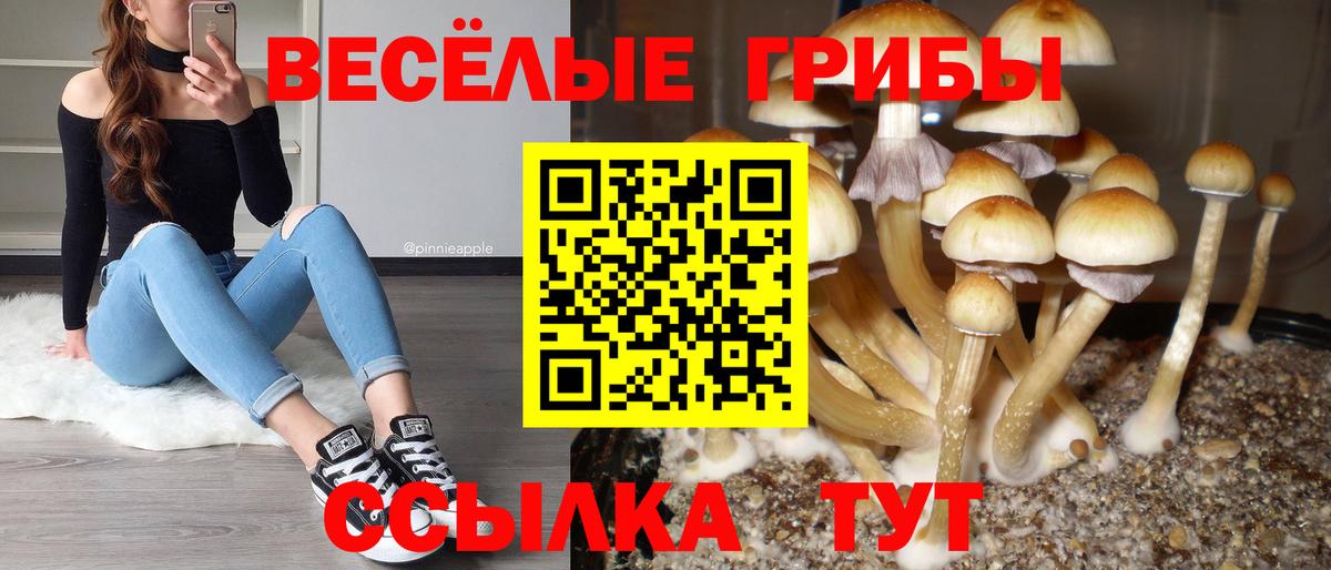 Бутират Свободный