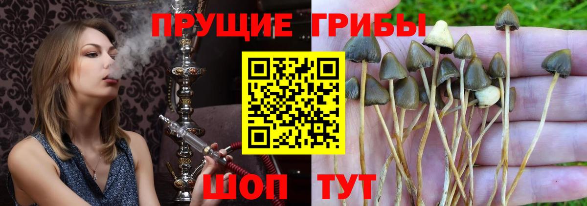 Галлюциногенные грибы Magic Shrooms  Вход с VPN  Свободный 